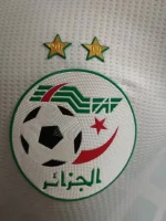 Algeria 2022 Home Player Version Jersey