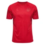 Denmark 2022 World Cup Home Jersey