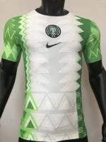 Nigeria 2020 Home Player Version Jersey