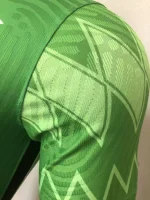 Nigeria 2020 Home Player Version Jersey