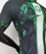 Nigeria 2022 Special Edition Player Version Jersey