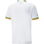 Senegal 2022 World Cup Home Jersey