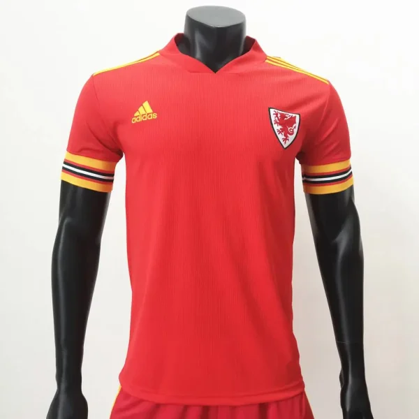 Wales 2020 Home Jersey