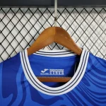 1899 Hoffenheim 2023/24 Home Jersey