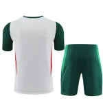 Mexico 2023-24 Training Suit