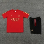 Arsenal 2023-24 Training Suit