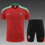 Portugal 2024-25 Training Suit