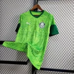 Palmeiras 2024/25 Pre-Match Training Jersey