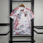 Japan 2024/25 Special Edition Jersey